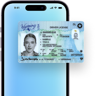 Smarter Access